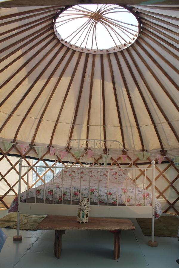 Mill Haven Place Glamping-Yurt 2 Haverfordwest Exterior foto